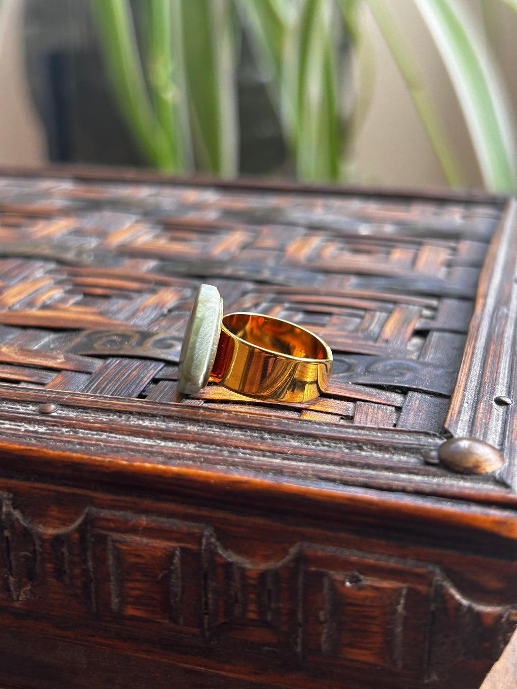Serpentine on Gold Plate Ring