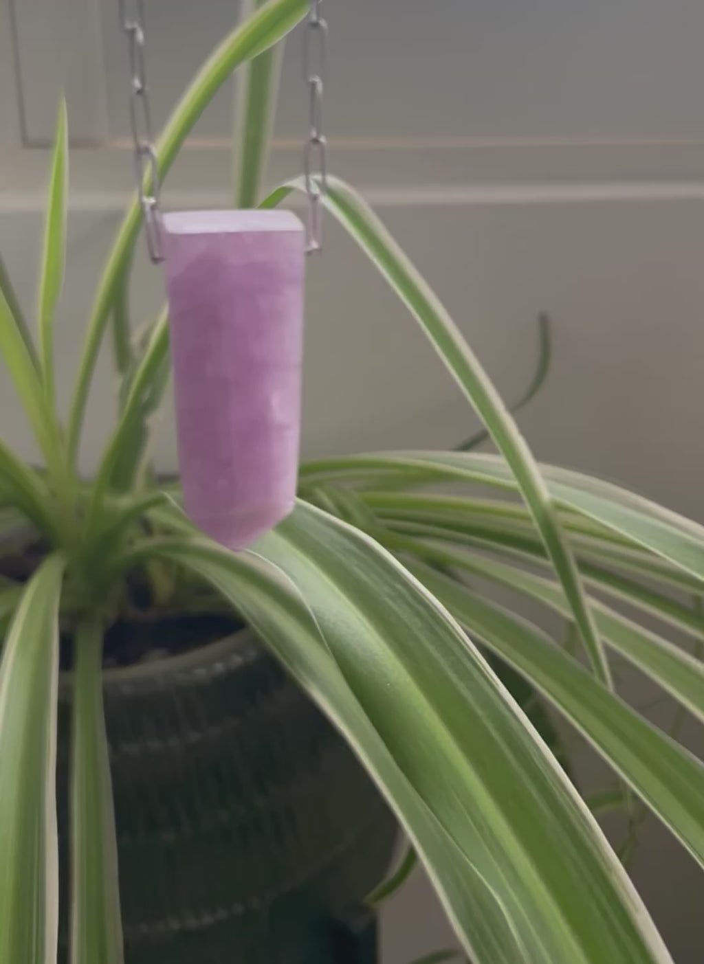 Kunzite on Silver Plate