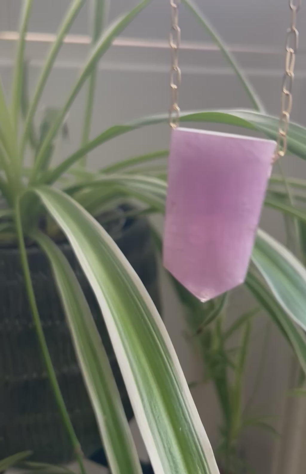 Kunzite on Gold Plate